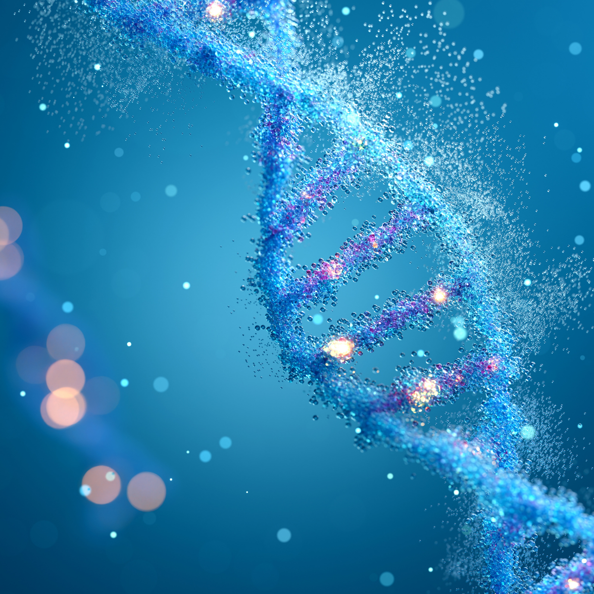 Healthy aging and cellular health vitamins