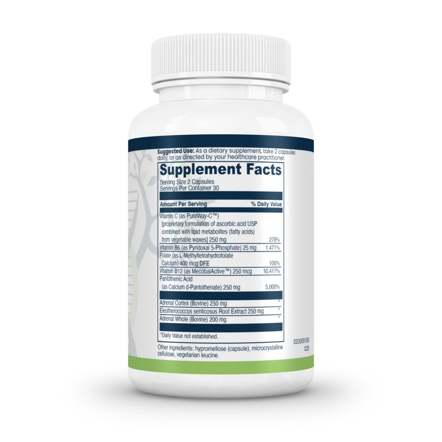 Adrenal Support Complex Evexias Health Solutions Ingredients