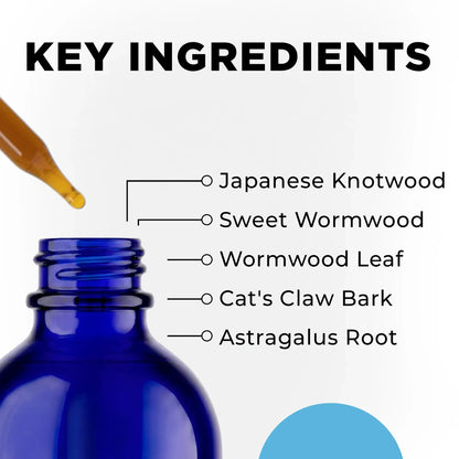 CellCore IS-BORR Key Ingredients