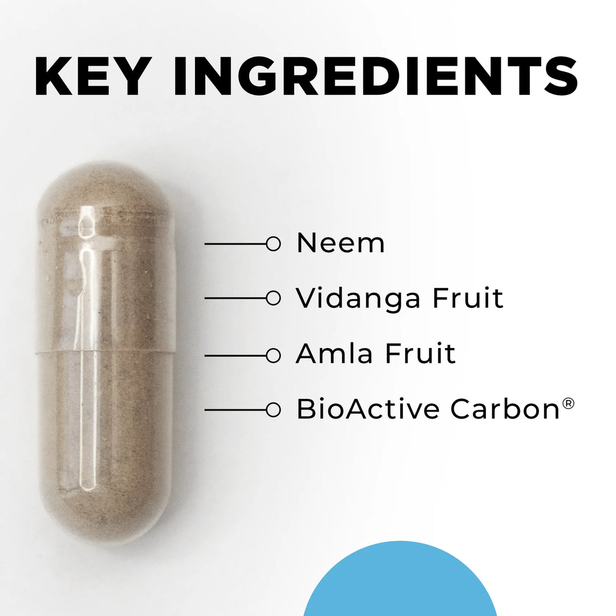 CellCore Para 2 Key Ingredients