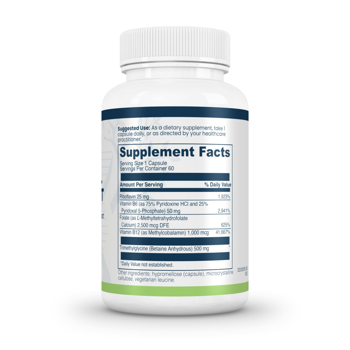 Evexias Methyl Support