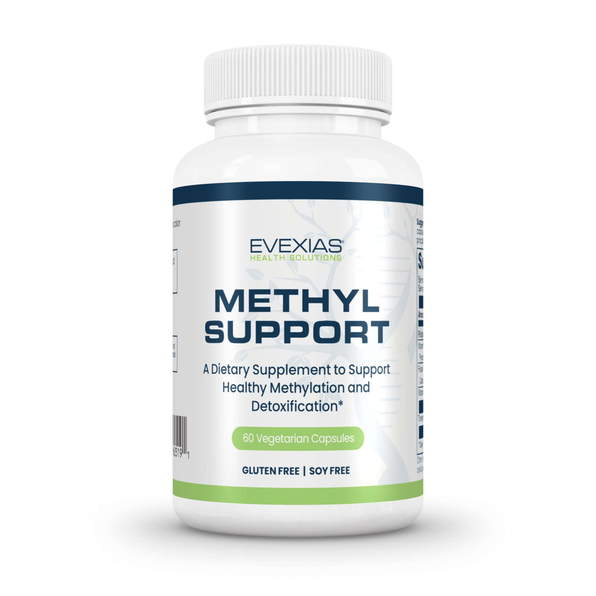 Bottle of Methyl Support dietary supplement by Evexias with 60 vegetarian capsules for methylation and detoxification support.