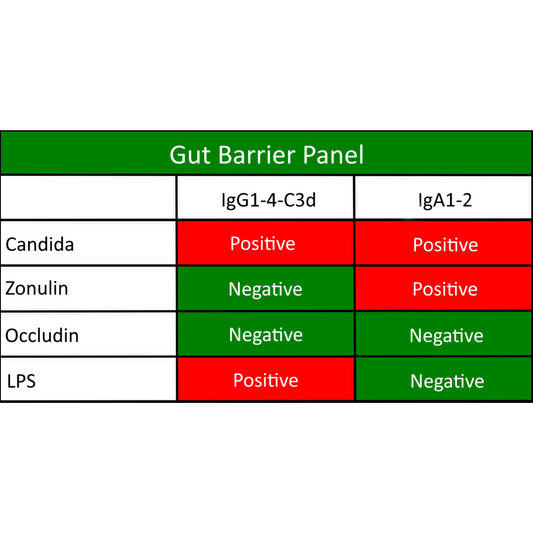 KBMO Gut Barrier Panel sample patient results report showing comprehensive markers for intestinal permeability and leaky gut