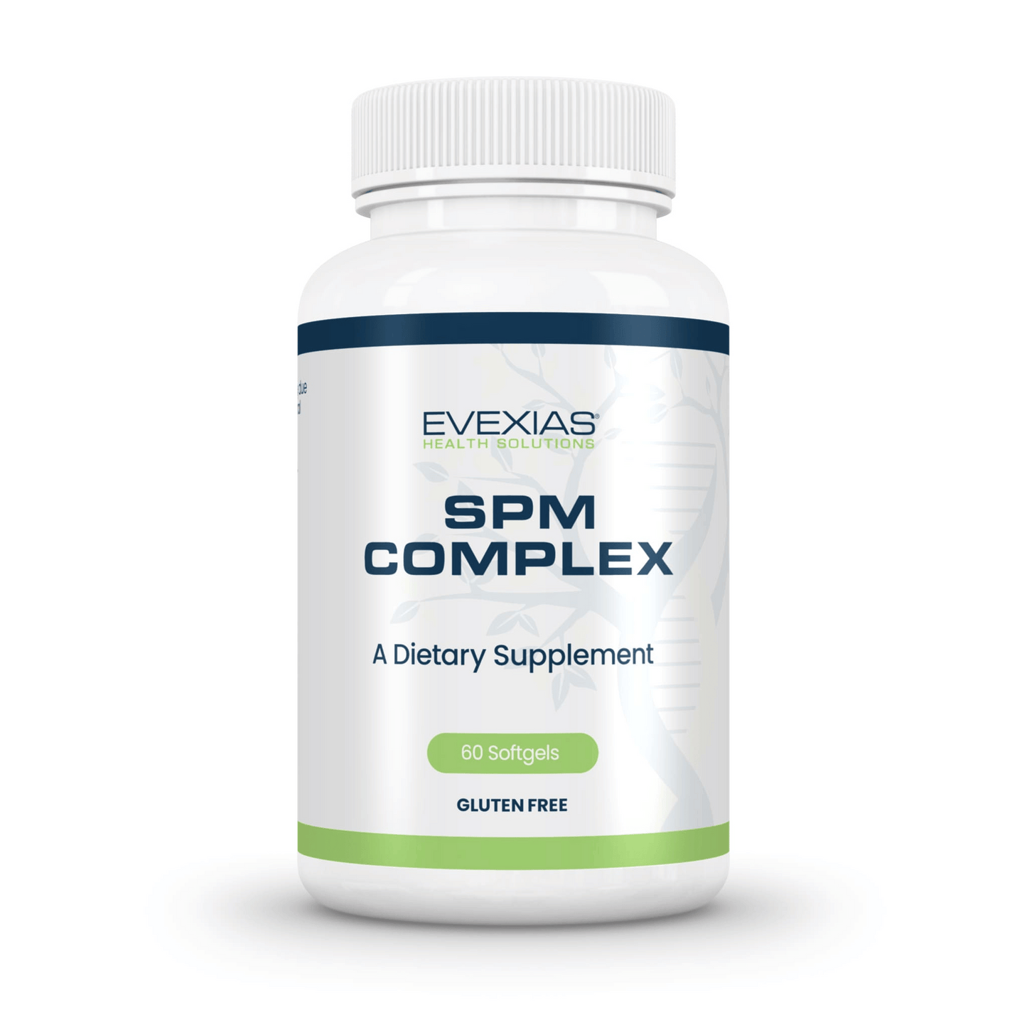 SPM Complex Evexias Front