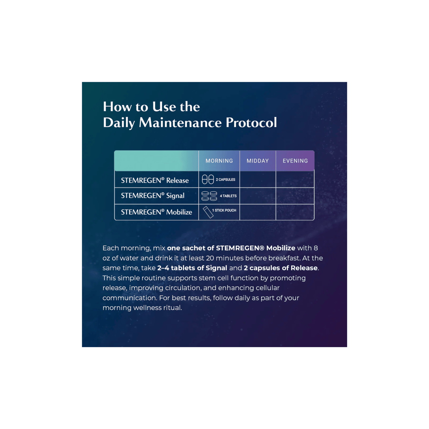 STEMREGEN Daily Maintenance Protocol how to use graphic showing step-by-step instructions for Release, Signal, and Mobilize supplementation